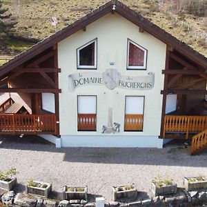 Le Bucheron Au Coeur Du Massif Des Vosges 3 Etoiles Gérardmer Exterior photo