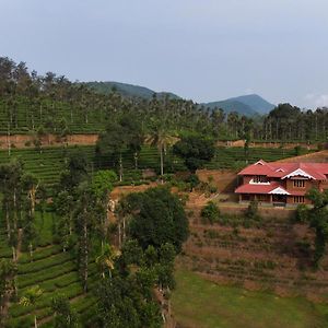 Stayvista At Regal Retreat Middle Of Tea Estate Vajanad Exterior photo