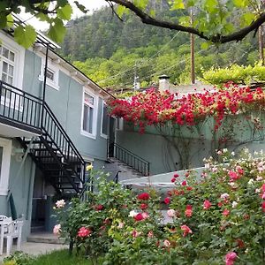 Guest House Green Rose Borzsomi Exterior photo