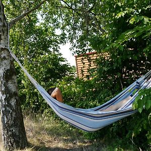 Familienurlaub Auf Dem Land - Haustierfreundlich - 10 Minuten Von Templin Milmersdorf Exterior photo