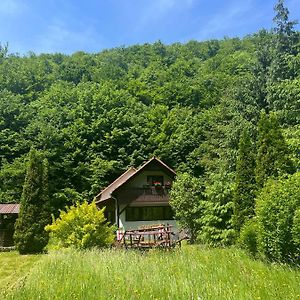 Cottage By The River Valea Draganului Kissebes Exterior photo