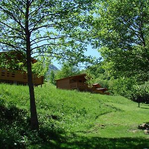 Wood Cabins In The Heart Of Transylvania Torockószentgyörgy Exterior photo