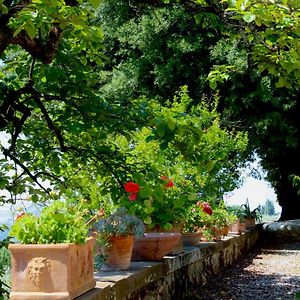 Il Salotto Di Berentano Apartman San Casciano in Val di Pesa Exterior photo