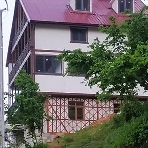 Caykara-Nanaga1883-Entire 1 Bedroom Flat With Balcony-Lake-Mountain View Trabzon Exterior photo