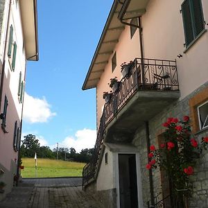 La Castagna Matta Panzió Albareto  Exterior photo