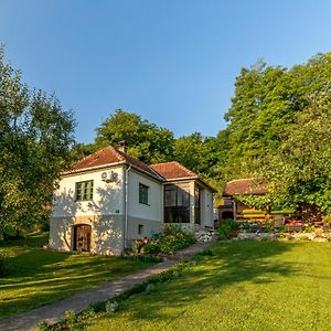 Rusticna Kuca Crvena Stena U Blizini Kucice Na Drini Bajina Basta Exterior photo