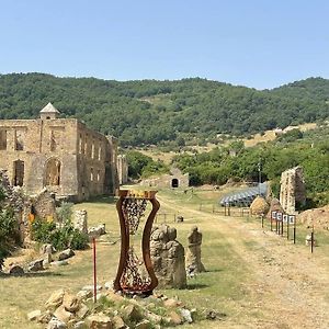 House In Basilicata Dolomites Hidden Gem Of Italy Villa Campomaggiore Exterior photo