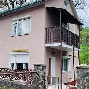 Nad Ričkou Hotel Polyána Exterior photo