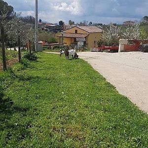 Agriturismo San Tommaso Panzió Ariano Irpino Exterior photo