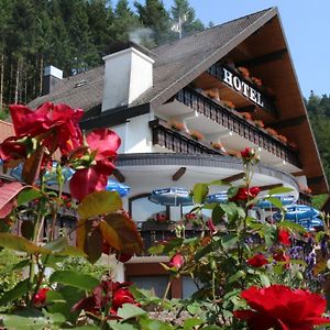 Hotel Sonnenblick Schenkenzell Exterior photo