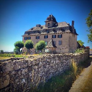 Chateau De Cours Panzió Sénezergues Exterior photo