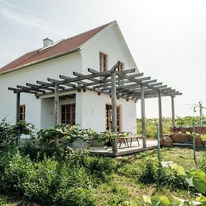 Kellerstockl - Beim Legath Villa Strém Exterior photo