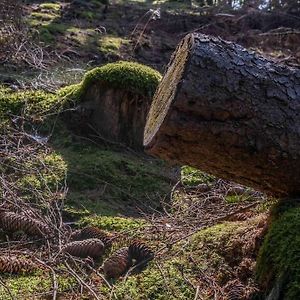 Marchenhafte Fewo White Auf Dem Berg Im Sauerland Apartman Werdohl Exterior photo