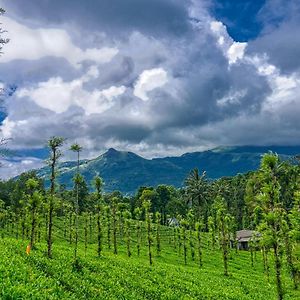 Ende Wayanad Resort Koroth Exterior photo