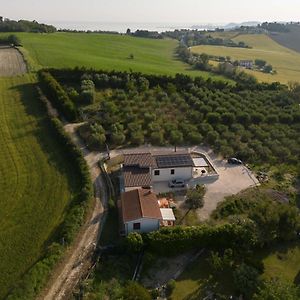 Casetta Tra Gli Ulivi Villa Ancona Exterior photo