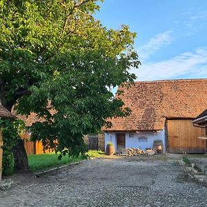 Haus Rether - Transylvanian Guesthouse Szászbuda Exterior photo