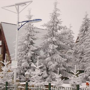 Vielel Birta Hotel Ferencfalva Exterior photo