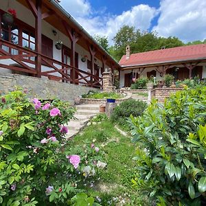 Bauer Vendeghaz Puespoekszentlaszlo Hotel Hosszuheteny-Szolohegy Exterior photo