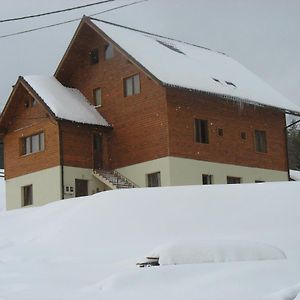 Pensiunea Aries Hotel Lepus Exterior photo