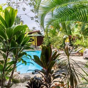 Casa Caribbean Coconut Hotel Cahuita Exterior photo