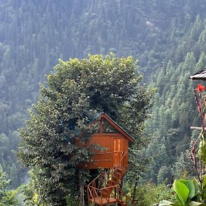 Nebula Nook Treehouse Villa Jibhi Exterior photo