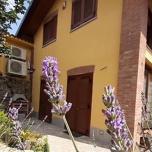 Casa Lavanda Panzió Rivoli Exterior photo