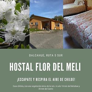 Hostal Flor Del Meli Panzió Dalcahue Exterior photo