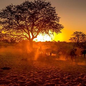 Bagatelle Kalahari Boutique Farmhouse Lodge Mariental Exterior photo