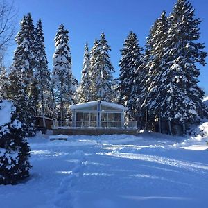 Au Ruisseau Bleu Villa Saint Aime Des Lacs Exterior photo