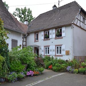 Maison D'Hotes La Renardiere Panzió Reichshoffen Exterior photo