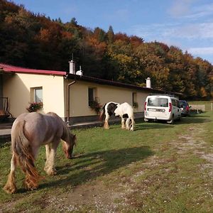 Oddychovy Pobyt Na Rodinnej Farme Mátyáska Exterior photo