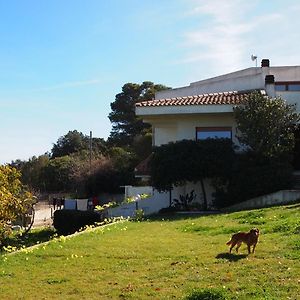 Asinara Villa Sassari Exterior photo