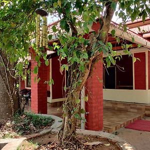 Always Welcome Homestay Madikeri Exterior photo