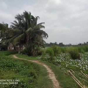 Antoheen Tamluk Exterior photo