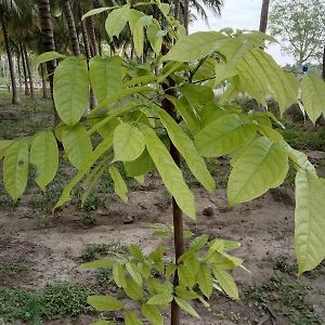 Royal Grande Farm Stay Dindigul Exterior photo