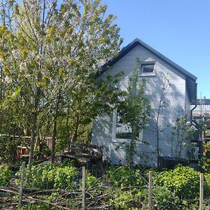 Tuinhuisje In Het Groen Panzió Almere Exterior photo