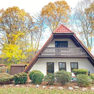 Finnhauser Am Vogelpark - Haus Luise Marlow Exterior photo