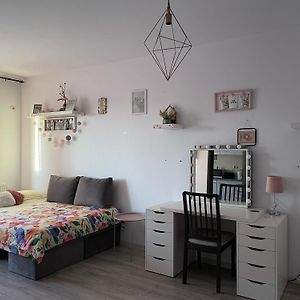 Pinky Studio Apartman Dobroesti Exterior photo