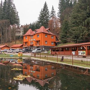 Vila Bradul Hotel Gyilkostó Exterior photo