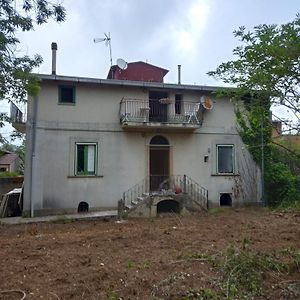 Calabria Melia Di Scilla 10 Euro Stanza Collina Antico Casale Con Giardino Bio Naturale Exterior photo