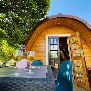 The Gold Pod, Relax And Enjoy On A Glamping House Vendégház Corredoura Exterior photo