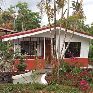 Casa Hummingbird Peace & Nature Villa Palmares  Exterior photo