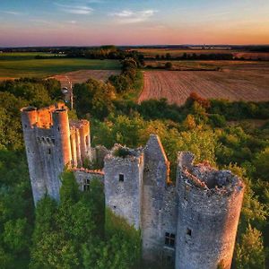 Le Domaine Du Chateau Panzió Varennes-les-Narcy Exterior photo