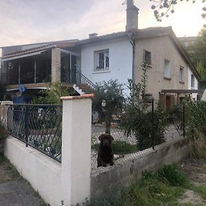 Bienvenue « A L'Ombre Du Figuier » Apartman Pieusse Exterior photo