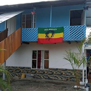 Shalon Apartments Cahuita Exterior photo