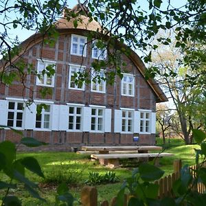 Holiday Home Deichkind On The Elbe Dike Modlich Exterior photo