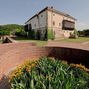 Pipo Varkastely, Ozora Hotel Exterior photo