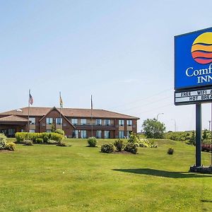 Comfort Inn East Moncton Exterior photo