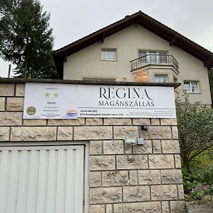 The Pearl Of The Danube Bend - Regina Apartman Apartman Dunabogdány Exterior photo