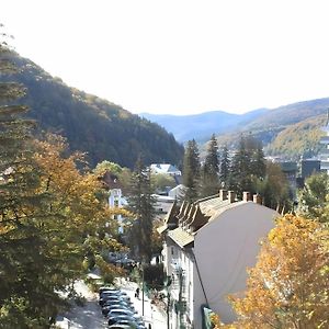 Central Park View Sinaia Exterior photo